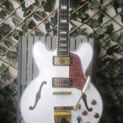 Guitarra estilo ES355 + EXTRAS ¡Espectacular! · Murcia