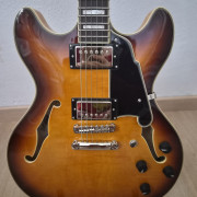 D'angelico Premier DC Dark Iced Tea Burst · Palencia · 500 €