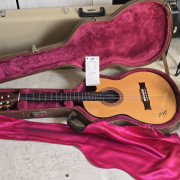 Gibson Chet Atkins CE Nylon · Málaga · 2000 €