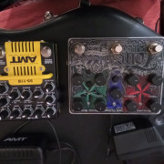 AMT ss11b, EHX tone tattoo · Cáceres · 370 €