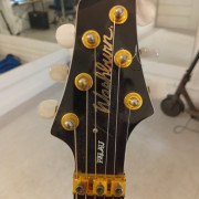 Washburn Dp100 David palau signature mejorada con Dimarzio