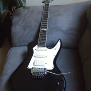 Schon Larrivée 1988 · Madrid · 3000 €