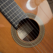 Alhambra 10P (Gama Profesional/Concierto) + K&K Pure Mini instalado