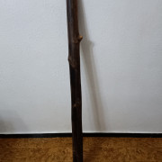 Digeridoo luthier