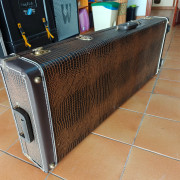 Flightcase Godin de piel con ruedas · Lleida · 190 €