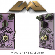 The brain delay LME. Pedal hecho en España.