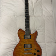 Washburn Idol Custom Shop USA · Madrid · 1300 €
