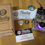 Flattley crazy diamond univibe · Alicante · 175 €