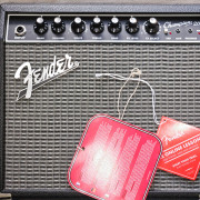 Fender Champion 20