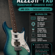 Ibanez az 22 modificada · Bizkaia · 450 €