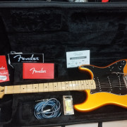 Fender Standard Stratocaster Arizona Sun