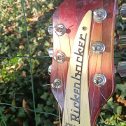 Rickembacker 330 FG · A Coruña · 1800 €
