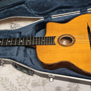 Gitane DG-300 John Jorgenson · Valencia · 875 €
