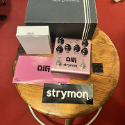 Strymon DIG v2 · Palencia · 310 €