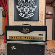 Vendo Peavey Windsor · Cantabria · 230 €