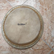 Parches percusión