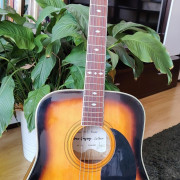 Guitarra acustica Andrew Gregory