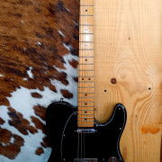 Fender Telecaster USA 1983 · Alicante · 1650 €