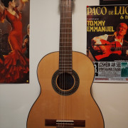 Guitarra albillo · Barcelona · 290 €