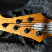 Bajo epiphone expert 6 strings · Asturias · 700 €