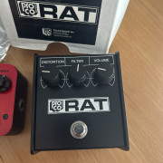 Cambio mi proco rat whiteface · Alicante