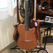 Guitarra electroacustica tipo godin · Barcelona · 500 €
