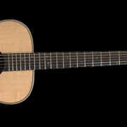 Takamine Limited Edition 2005 · Madrid · 1200 €