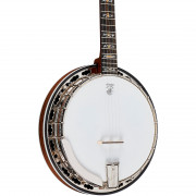 Banjo para grupo Country en Pontevedra · Pontevedra