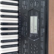 Cambio casio ctk3000 · Zaragoza
