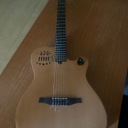 Godin ACS slim Midi · Málaga · 1450 €
