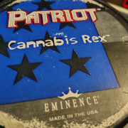 Altavoz Eminence 12 pulgadas