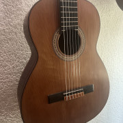 Vendo o cambio Guitarra clásica palosanto macizo · Valencia · 599 €