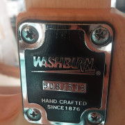 Washburn N2 “Early Series” · Valencia · 350 €