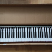 Teclado de Clavinova CLP-560