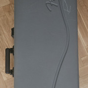 Fender Telecaster American Special USA · Madrid · 700 €