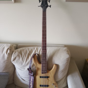 Ibanez ergodyne · Ourense · 300 €