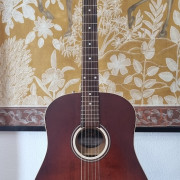 Seagull S6 Original Burnt Umber Presys · Valencia · 500 €
