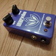 Ananashead Leaf Vibe · A Coruña · 110 €