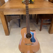 Guild GAD F-130RCE electroacústica · Alicante · 500 €