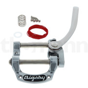 Bigsby B5+Vibramate+Guia · Málaga · 350 €