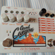 Electro Harmonix Grand Canyon · Barcelona · 180 €