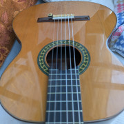 Guitarra Alhambra 5p con piezo firestone y bag