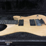 Washburn N4 · Cádiz · 2200 €