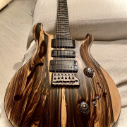 Prs Private stock special Semihollow · Almería · 11000 €