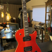 Washburn Winpro F · Zaragoza · 270 €
