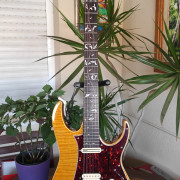 Ibanez RT650 made in Japan 1992 mods (Málaga, ESP) · Málaga · 750 €