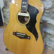 Eko Ranger VI 50th Anniversary Ltd Ed. 2010 Natural · Girona · 400 €