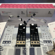 2x Mutable Instruments Ripples V2 Filtros Eurorack · Madrid · 250 €