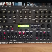Quasimidi polymorph · Barcelona · 700 €