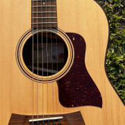 Taylor AD17e · Valencia · 1100 €